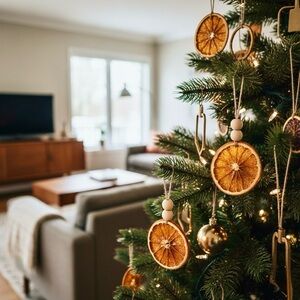 MCM Custom Dehydrated Orange Slice Ornaments | Set of 12 Citrus Christmas Decor